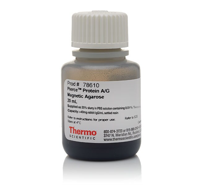 Pierce&trade; 蛋白 A/G 琼脂糖磁珠