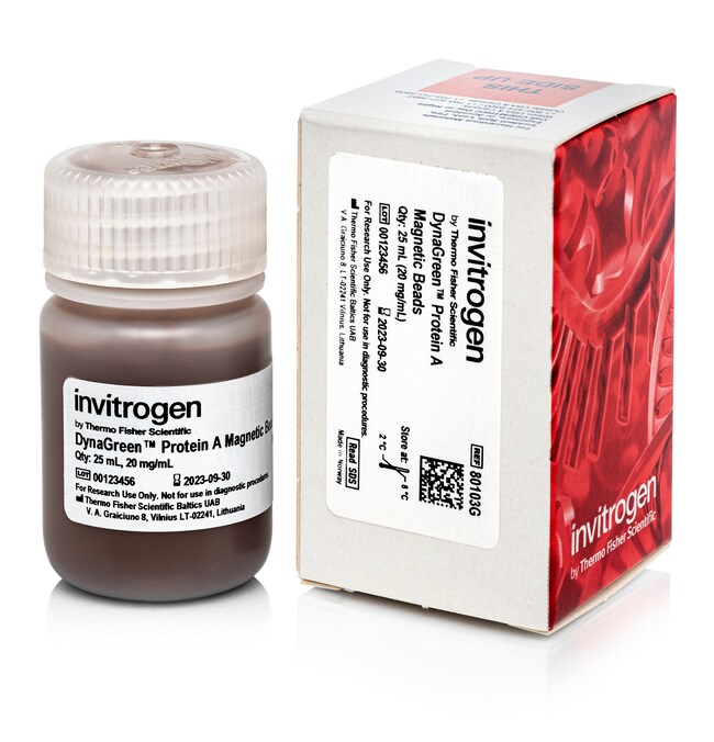 DynaGreen™ Protein A Magnetic Beads