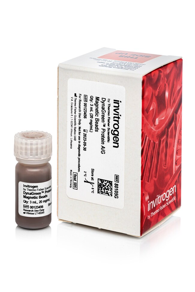 DynaGreen&trade; Protein A/G 磁珠