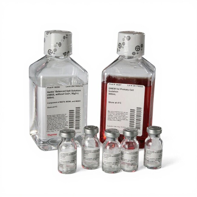 Pierce&trade; 小鼠胚胎成纤维细胞分离试剂盒