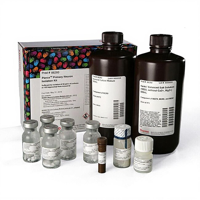 Pierce&trade; Primary Neuron Isolation Kit