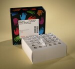 去污剂去除离心柱与板