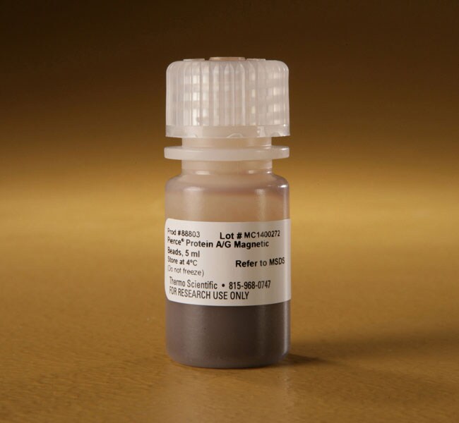 Pierce&trade; 蛋白 A/G 磁珠
