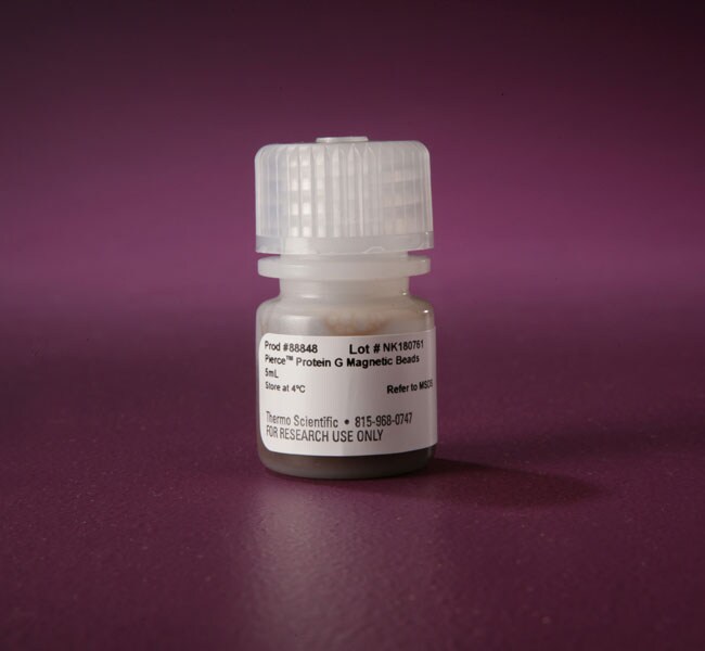 Pierce&trade; Protein G Magnetic Beads