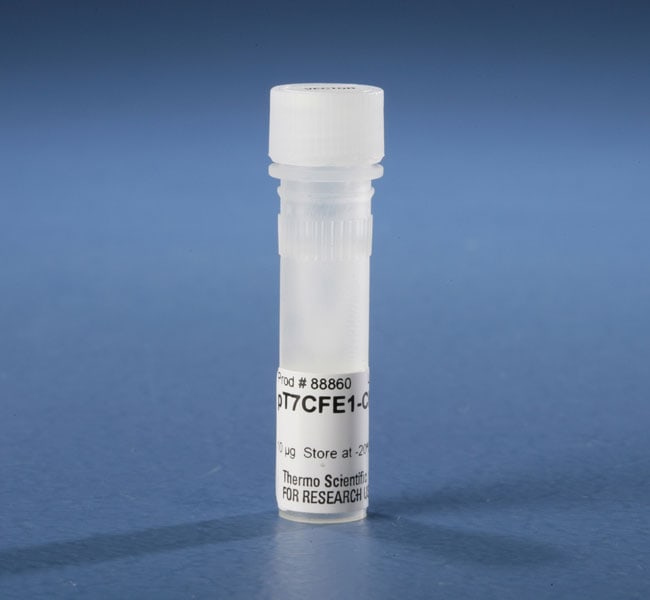 用于哺乳动物无细胞蛋白表达的 pT7CFE1-CHis 载体