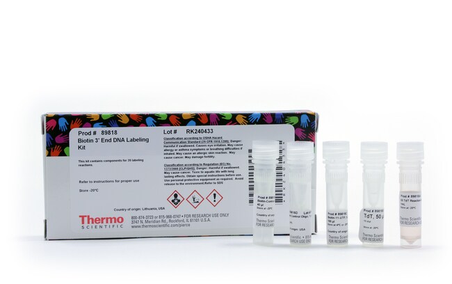 Pierce&trade; Biotin 3' End DNA Labeling Kit