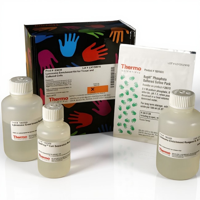 组织和培养细胞溶酶体富集试剂盒