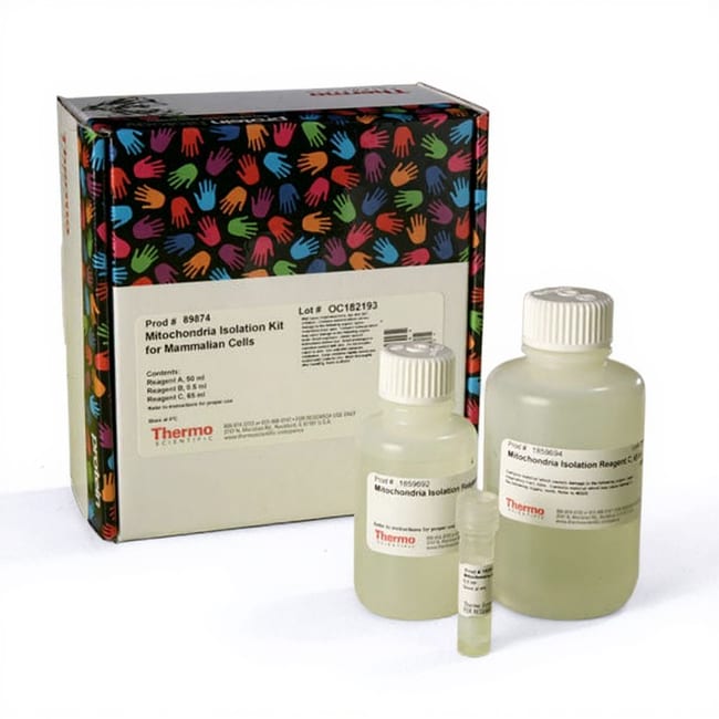 培养细胞线粒体分离试剂盒