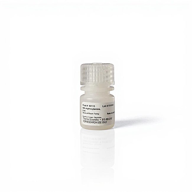 1M TEAB 和 50% 羟胺缓冲液，用于 TMT 实验