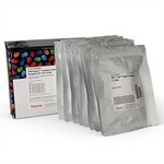 TMT10plex&trade; 同量异位标记试剂和试剂盒