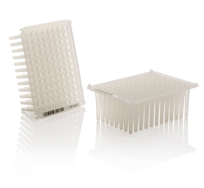 用于 96 深孔规格的 KingFisher™ 塑料制品