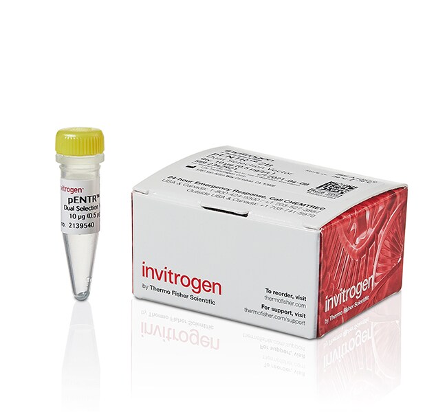 Gateway™ pENTR™ 2B Dual Selection Vector