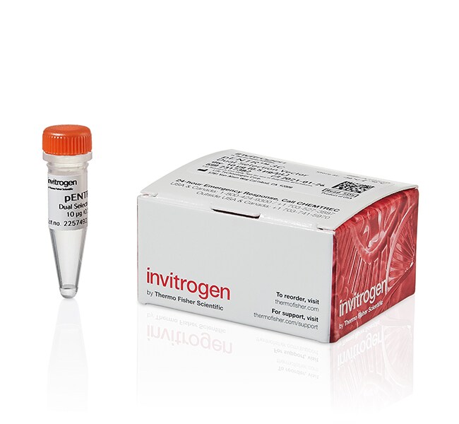 Gateway&trade; pENTR&trade; 3C 双重选择载体