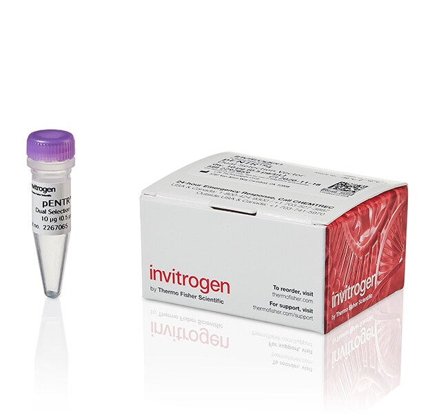 Gateway™ pENTR™ 4 Dual Selection Vector