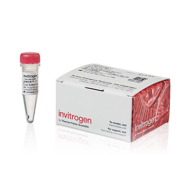 Gateway&trade; pENTR&trade; 11 双重选择载体