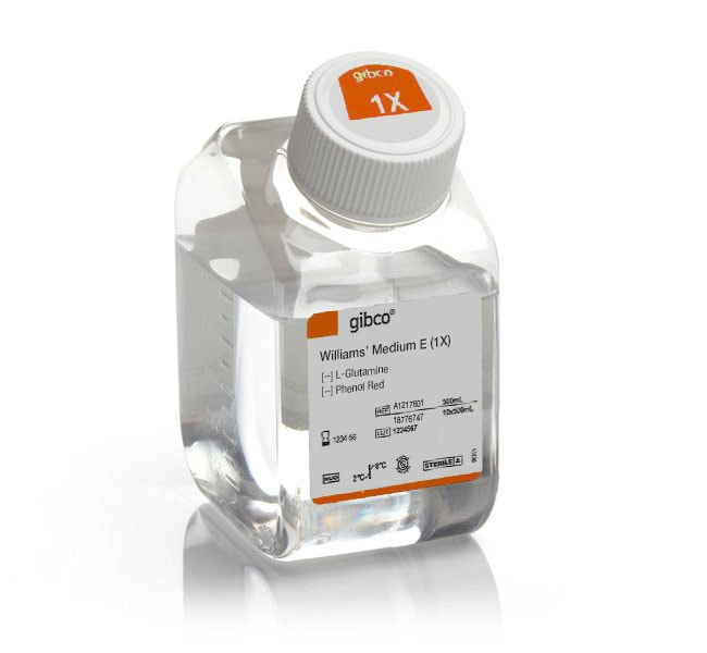 William's E 培养基，不含酚红