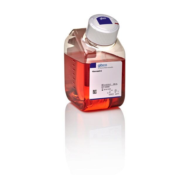 Hibernate&trade;-E Medium