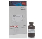 PrestoBlue&trade; and PrestoBlue&trade; HS Cell Viability Reagents