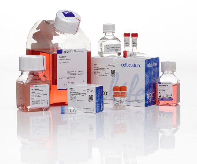 Expi293™ Expression System Kit