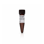LanthaScreen&trade; Eu-anti-GST (Rabbit) Antibody