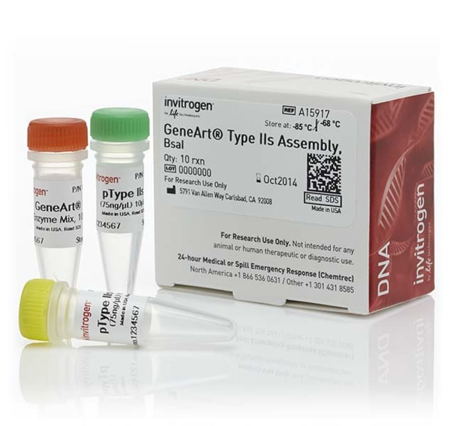 GeneArt&trade; IIs 型组装试剂盒，<i>Bsa</i> I