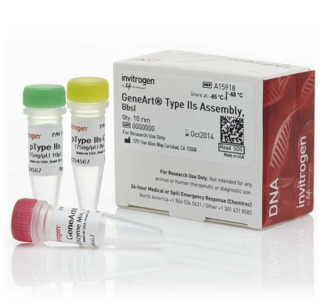 GeneArt&trade; IIs 型组装试剂盒，<i>Bbs</i> I