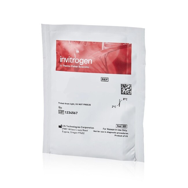 Alexa Fluor™ 420 NHS Ester (Succinimidyl Ester)