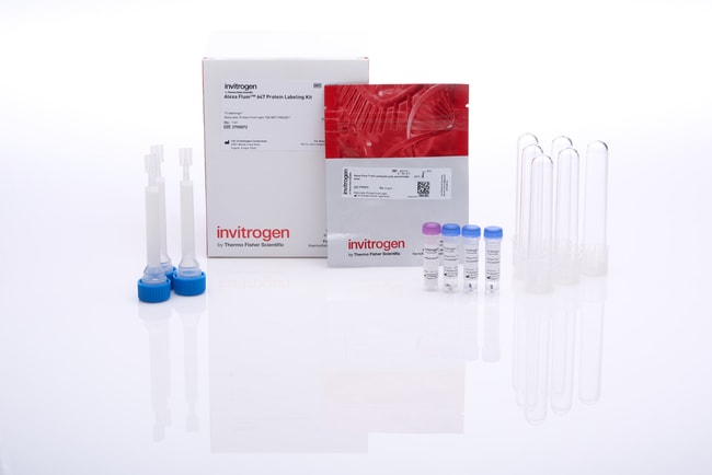 荧光蛋白标记试剂盒