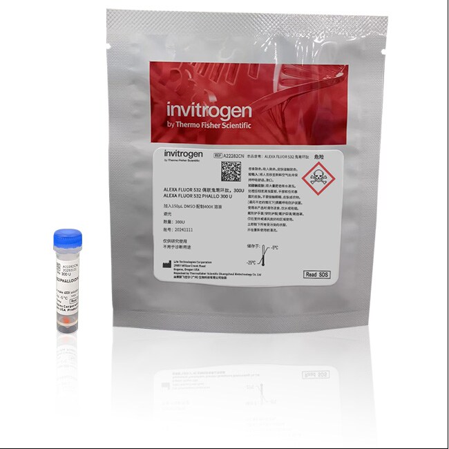 Phalloidin Conjugates