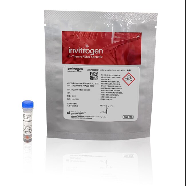 Phalloidin Conjugates