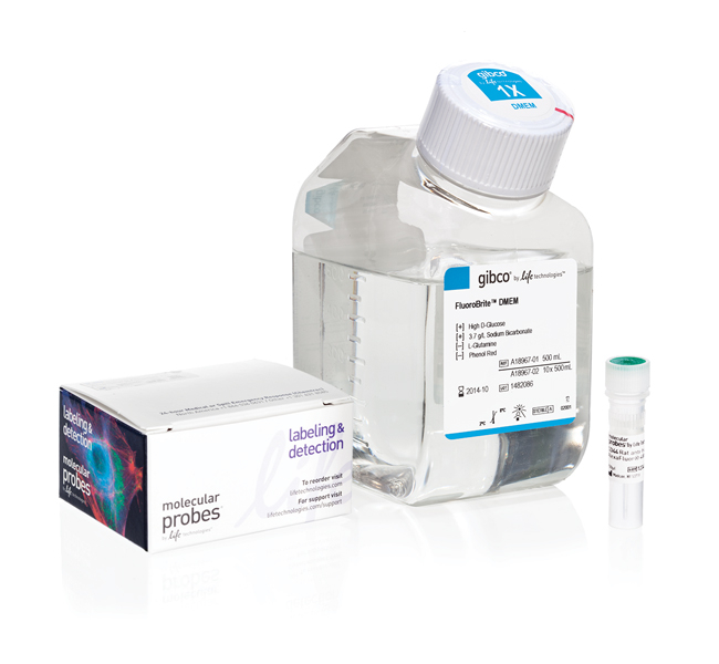 CD44 Alexa Fluor™ 488 Conjugate Kit for Live Cell Imaging