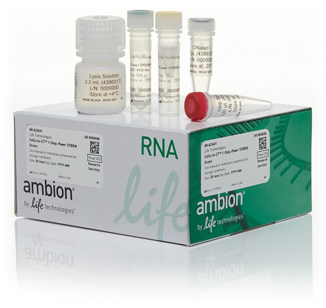 Cells-to-CT&trade; 1-步法 Power SYBR&trade; Green 试剂盒