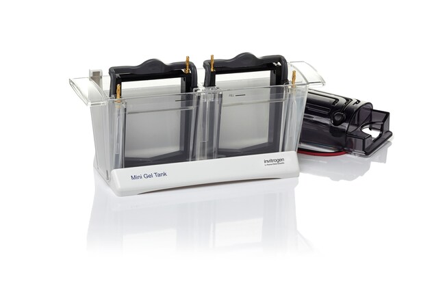 Mini Gel Tank