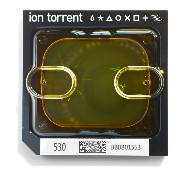 Ion 530&trade; Chip Kit-4 Reactions