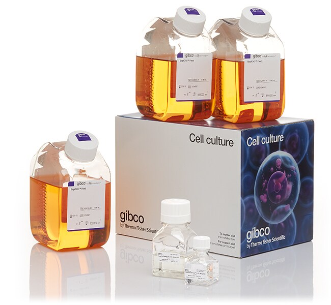 ExpiFectamine™ CHO Transfection Kit