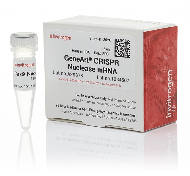 GeneArt&trade; CRISPR 核酸酶 mRNA