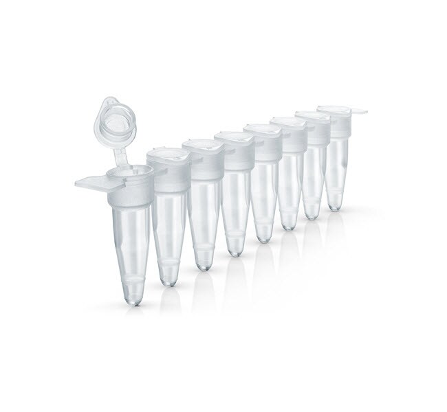 MicroAmp&trade; 光学 8 联排管，带连接光学盖，0.2 mL