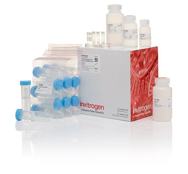 JetQuick™ Blood and Cell Culture DNA Midiprep Kit
