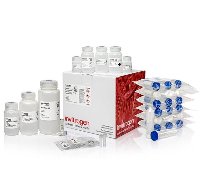 PureLink&trade; Expi Endotoxin-Free Maxi Plasmid Purification Kit