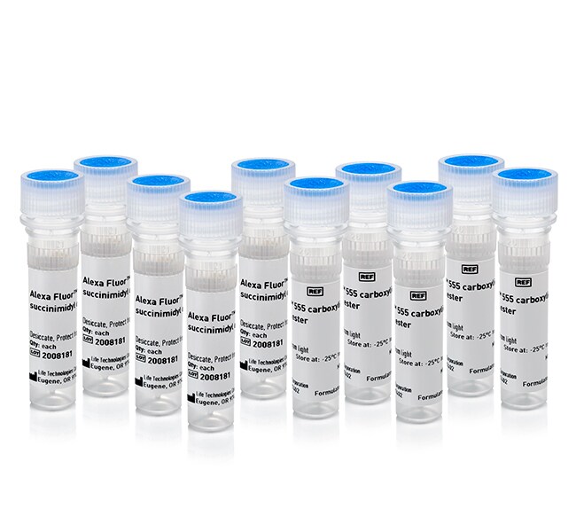 Alexa Fluor&trade; 555 Decapack 套件