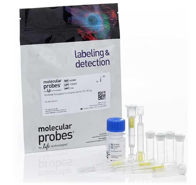 抗体偶联物纯化试剂盒，50-100 &mu;g 偶联物