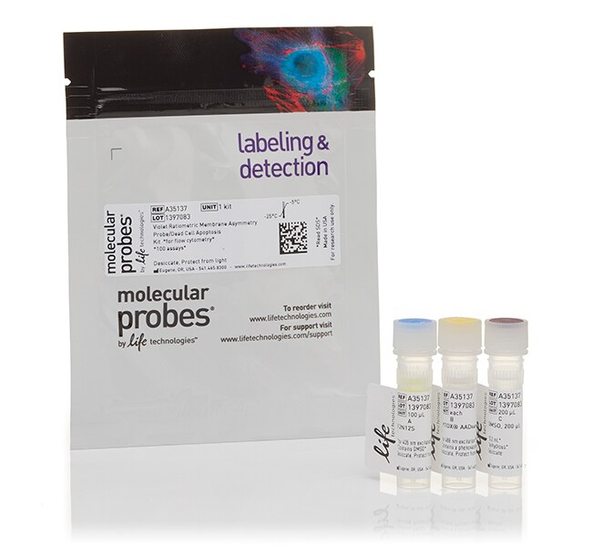 Violet Ratiometric Membrane Asymmetry Probe/Dead Cell Apoptosis Kit, for flow cytometry