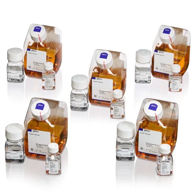 Expi293&trade; PRO Transfection Kit