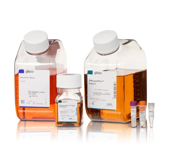 CHOvantage™ GS Cell Line Development Kit
