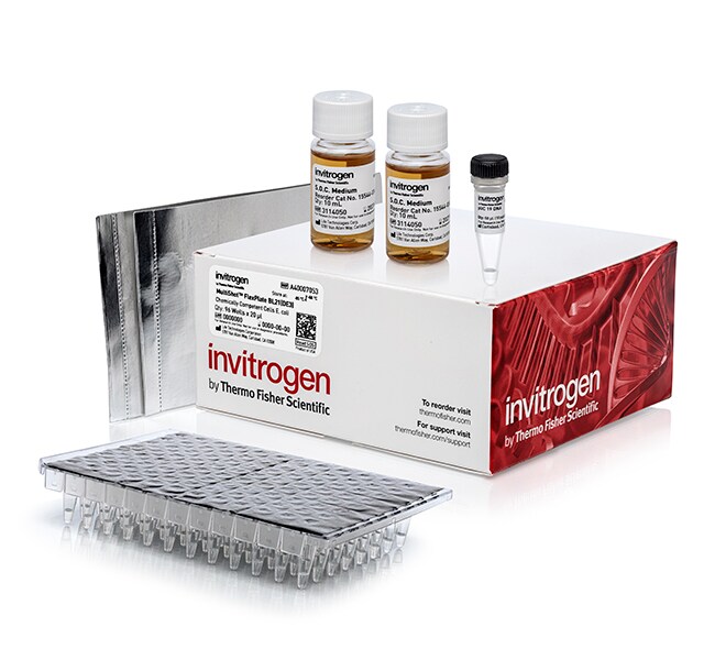 MultiShot™ BL21(DE3) Chemically Competent <i>E. coli</i> Cells, FlexPlate