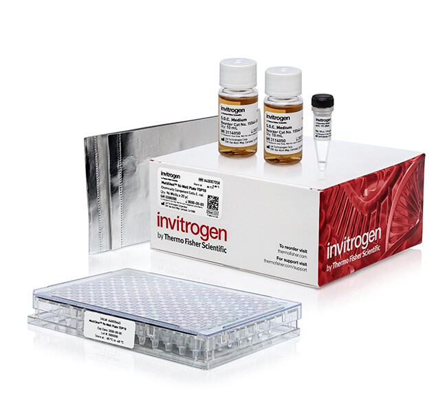 MultiShot™ TOP10 Chemically Competent <i>E. coli</i> Cells, 96-well plate