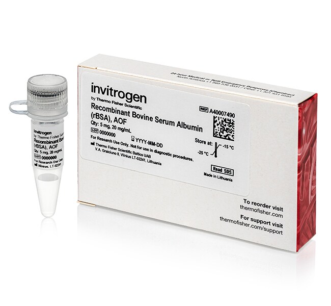 Recombinant Bovine Serum Albumin (rBSA), AOF