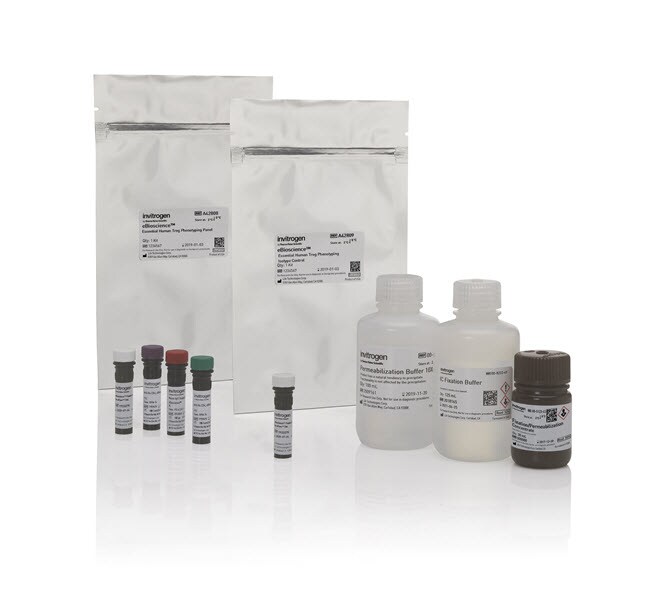 eBioscience&trade; Essential 人 Treg 表型检测试剂盒
