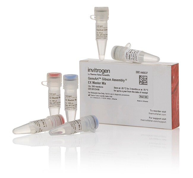 GeneArt&trade; Gibson Assembly EX 预混液