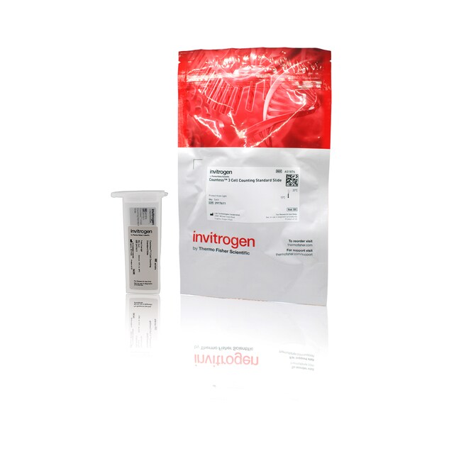 Countess&trade; 3 Standard Slide